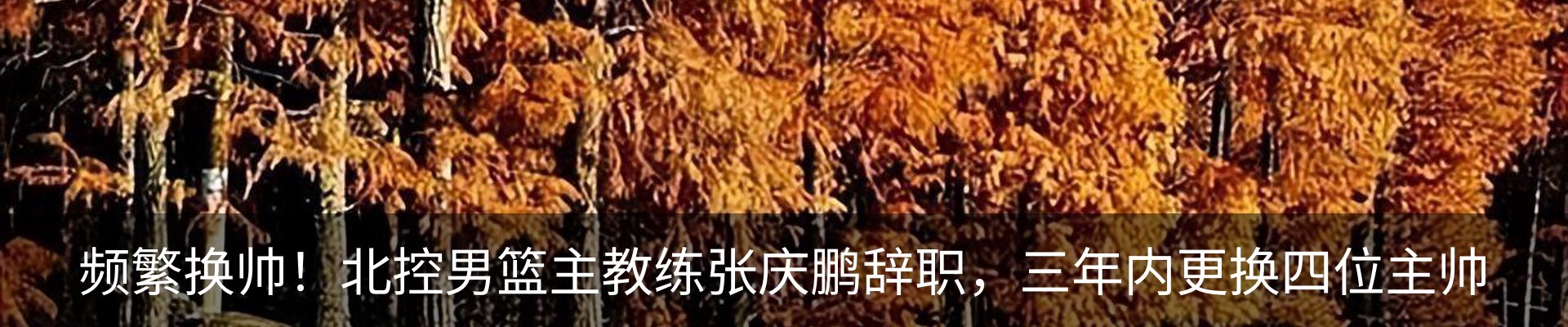 资讯动态
