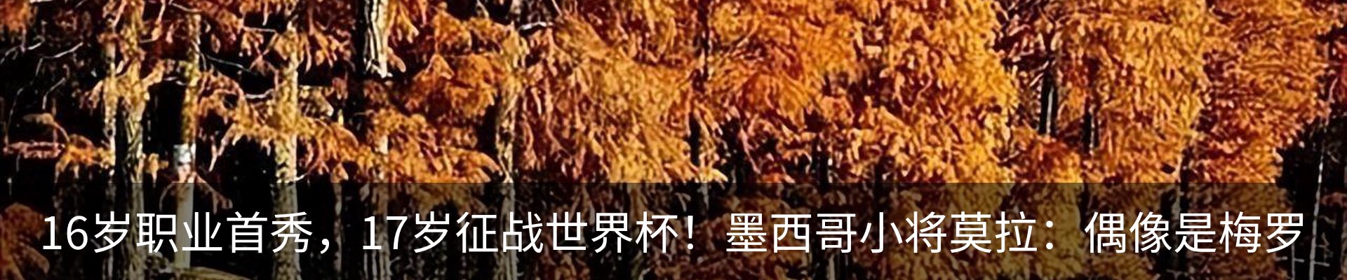 资讯动态